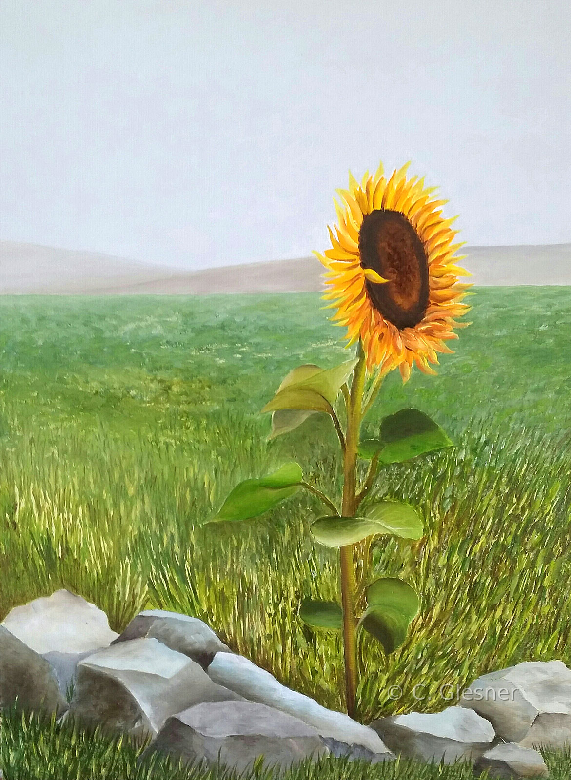 Sonnenblume in Öl 15 x 20 cm, Ölgemälde